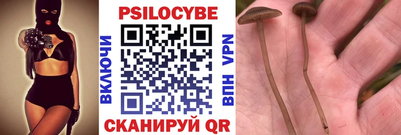 Галлюциногенные грибы ЛСД  сколько стоит  Сасово 
